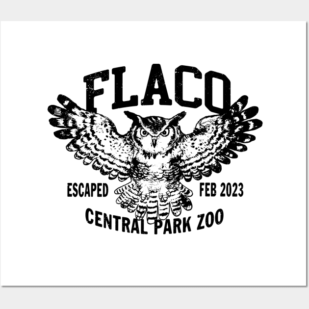 FLACO New York Owl 1 by Buck Tee Original Wall Art by Buck Tee